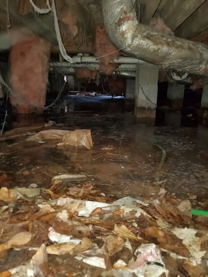 Crawl space flood assessment for Commercial Water Damage Restoration in Youngtown